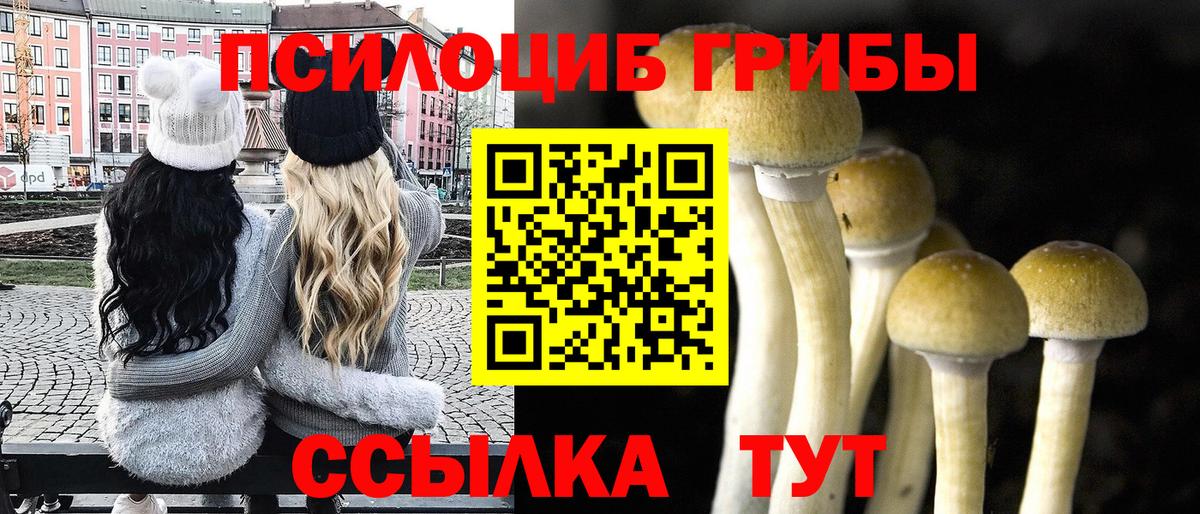 купить закладку  Вход с VPN  Гуково  Галлюциногенные грибы Psilocybine cubensis 